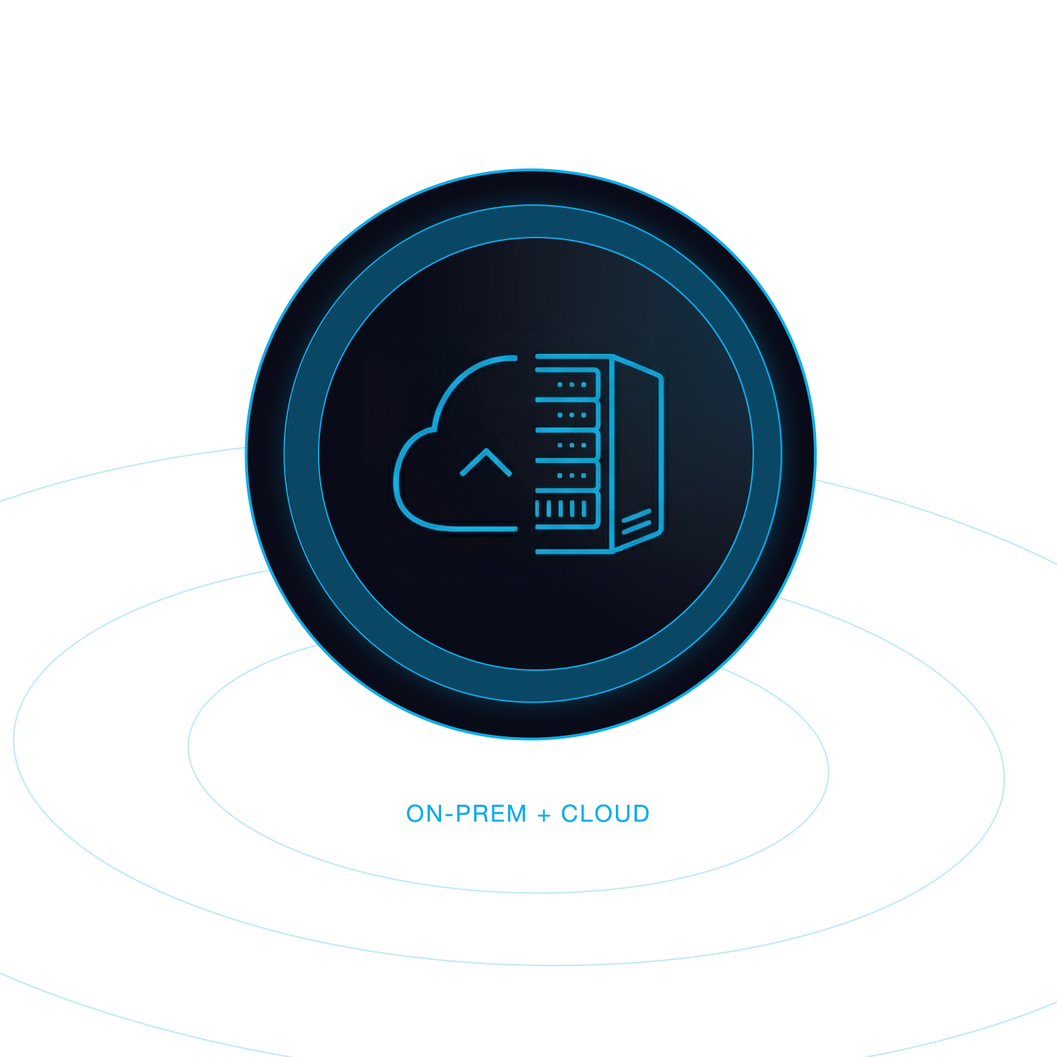 On-premises and cloud deployment options
